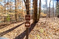 A brown and white sign with a picture of a bike and a double sided arrow in the forest surrounded by brown fallen autumn leaves Royalty Free Stock Photo