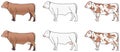Brown white spotted color bull and cow set vector drawing on isolated background Royalty Free Stock Photo