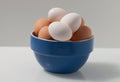 Brown and white wet eggs in a blue and white bowl Royalty Free Stock Photo