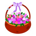 Brown Wicker basket with tulips of pink shades. Vector illustration colorful object for baby educational cards. With a purple bow