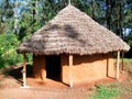 Brown wild african house with forrest