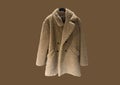 Ladies` Trench Coat. Winter clothes Royalty Free Stock Photo