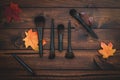 Brown wood background with assorted makeup brushes.