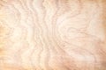 Brown wood background , old nature texture in dark and bright wave patterns Royalty Free Stock Photo