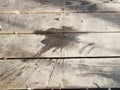 Brown wood boards with melting ice and water Royalty Free Stock Photo