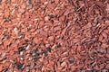 Brown wood chip mulch. Texture background. Horticulture and greenery Royalty Free Stock Photo