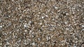 Brown wood chippings