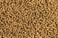 Brown wood pellets texture background. natural pile of wood pellets. organic biofuels. Alternative biofuel from sawdust. The cat
