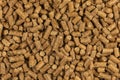 Brown wood pellets texture background. natural pile of wood pellets. organic biofuels. Alternative biofuel from sawdust. The cat Royalty Free Stock Photo