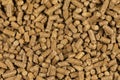 Brown wood pellets texture background. natural pile of wood pellets. organic biofuels. Alternative biofuel from sawdust. The cat