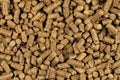 Brown wood pellets texture background. natural pile of wood pellets. organic biofuels. Alternative biofuel from sawdust. The cat