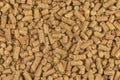 Brown wood pellets texture background. natural pile of wood pellets. organic biofuels. Alternative biofuel from sawdust. The cat Royalty Free Stock Photo