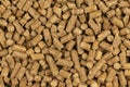 Brown wood pellets texture background. natural pile of wood pellets. organic biofuels. Alternative biofuel from sawdust. The cat