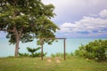 A brown wood picnic Swing with a gorgeous view under of tall trees in garden overlooking the pacific ocean with a cloudy sky. Royalty Free Stock Photo