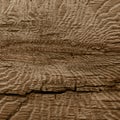 Wood textured background, brown scratched wooden cutting board