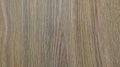 Brown wood surface texture