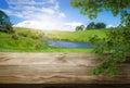 Brown wood table in summer farm green landscape. Royalty Free Stock Photo