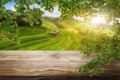 Brown wood table in summer farm green landscape. Royalty Free Stock Photo