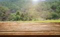 Brown wood table in summer farm green landscape Royalty Free Stock Photo