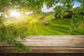 Brown wood table in summer farm green landscape. Royalty Free Stock Photo