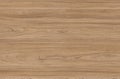 Brown wood texture. Abstract wood texture background Royalty Free Stock Photo