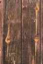 Brown wood texture. Abstract background, empty template