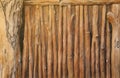 Brown wood texture background coming from natural tree. The wooden panel has a beautiful dark pattern, fence texture Royalty Free Stock Photo