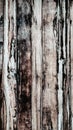 Brown wood texture background