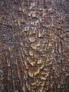 Brown wood texture. Dark wooden background with water drops Royalty Free Stock Photo