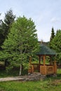 Brown wooden arbor with a path in the summer forest. Forest on a sunny day