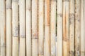 Brown wooden bamboo texture vertical pattern nature background