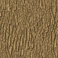 Wooden Bark. Seamless Tileable Texture.