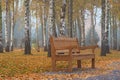 The brown wooden bench on autumn birch trees  background Royalty Free Stock Photo