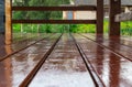 Brown wooden boards with a texture after painting with oil paint. Freshly painted glossy wooden floors on the terrace of the count Royalty Free Stock Photo