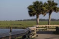Brown wooden boardwalk and palmetto trees with green marsh grass and water in background Royalty Free Stock Photo
