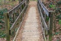 A brown wooden bridge in the forest covered with brown fallen autumn leaves surrounded by tall thin lush green pine trees Royalty Free Stock Photo