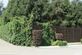 Brown wooden fence wall overgrown with green deciduous vegetation Royalty Free Stock Photo