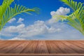 Brown wooden floor and palm leaf with blue sky background Royalty Free Stock Photo