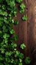 brown wooden planks board with clover - background for St. Patricks day Royalty Free Stock Photo