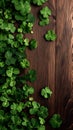 brown wooden planks board with clover - background for St. Patricks day Royalty Free Stock Photo