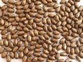 Brown wooden seed beads background Royalty Free Stock Photo