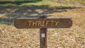 Brown wooden sign in grassy field with thrifty written on it