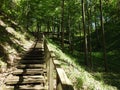 Wooden stairs going on hill top, Lithuania Royalty Free Stock Photo