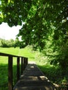 Wooden stairs going on hill top, Lithuania Royalty Free Stock Photo