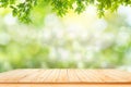 Brown wooden table board empty on fresh and green leaves green bokeh on nature abstract blur background green bokeh from tree.Mock Royalty Free Stock Photo