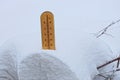 Brown wooden thermometer in the snowdrift of snow in the branches of plants in the winter garden Royalty Free Stock Photo