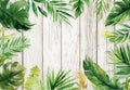 Brown woodgrain summer background with green leaves border