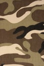 Brown woodland camo background