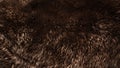 Brown wool texture background, dark natural sheep wool, black seamless cotton, texture of gray fluffy fur, close-up fragment of Royalty Free Stock Photo