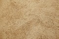 Brown woolen carpet texture background Royalty Free Stock Photo